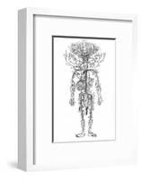 Arterial System, Drake-null-Framed Photographic Print