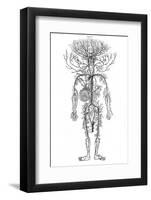 Arterial System, Drake-null-Framed Photographic Print