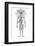 Arterial System, Drake-null-Framed Photographic Print