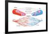 Arteries and Veins-Encyclopaedia Britannica-Framed Poster