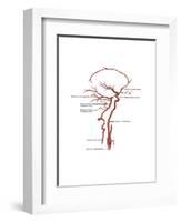 Arteries Found in the Head, Illustration-Gwen Shockey-Framed Art Print