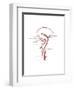 Arteries Found in the Head, Illustration-Gwen Shockey-Framed Art Print