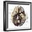 Arteries of the Brain-Science Source-Framed Giclee Print