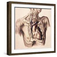 Arteries, Thorax and Neck, Illustration, 1844-Science Source-Framed Giclee Print