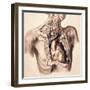 Arteries, Thorax and Neck, Illustration, 1844-Science Source-Framed Giclee Print