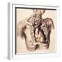 Arteries, Thorax and Neck, Illustration, 1844-Science Source-Framed Giclee Print