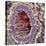 Artery SEM-Steve Gschmeissner-Stretched Canvas