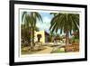 Artesian Park, Corpus Christi, Texas-null-Framed Premium Giclee Print