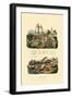 Artesian Well, 1833-39-null-Framed Giclee Print