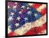 artflag-Richard Wallich-Framed Giclee Print