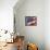 artflag-Richard Wallich-Framed Stretched Canvas displayed on a wall