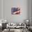 artflag-Richard Wallich-Framed Stretched Canvas displayed on a wall