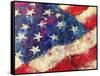 artflag-Richard Wallich-Framed Stretched Canvas