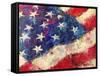 artflag-Richard Wallich-Framed Stretched Canvas