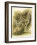 Artful-Barbara Keith-Framed Premium Giclee Print