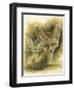 Artful-Barbara Keith-Framed Premium Giclee Print