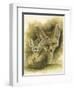 Artful-Barbara Keith-Framed Premium Giclee Print