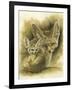 Artful-Barbara Keith-Framed Giclee Print