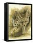 Artful-Barbara Keith-Framed Stretched Canvas