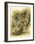 Artful-Barbara Keith-Framed Giclee Print