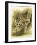 Artful-Barbara Keith-Framed Giclee Print