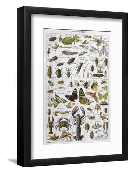 Premium Photographic Print, , large