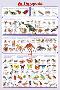 Arthropods Insects Educational Science Chart Poster-null-Lamina Framed Poster