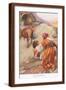 Brown Frame