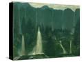 Stretched Canvas