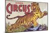 "Arthur Bros. Circus" Poster with Illustration of Roaring Tiger, Circa 1945-null-Mounted Giclee Print