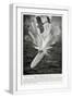 White Frame