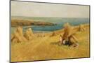 Wood Mount