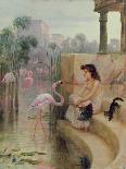 A Girl with Flamingos-Arthur Drummond-Framed Stretched Canvas