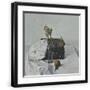 Black Frame