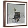 Brown Frame