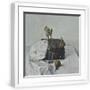 White Frame