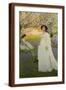 Brown Frame