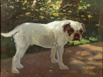 A Bulldog on a Garden Path (Oil on Canvas)-Arthur Heyer-Framed Giclee Print