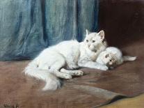 Two White Persian Cats with a Ladybird by a Deckchair, 19th Century-Arthur Heyer-Framed Giclee Print