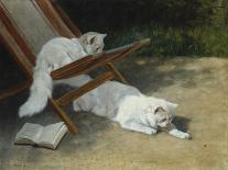 Two White Persian Cats with a Ladybird by a Deckchair, 19th Century-Arthur Heyer-Framed Giclee Print