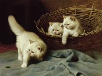 Two White Persian Cats with a Ladybird by a Deckchair, 19th Century-Arthur Heyer-Framed Giclee Print