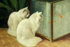 White Cats Watching Goldfish-Arthur Heyer-Framed Giclee Print