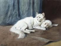 Two White Persian Cats with a Ladybird by a Deckchair, 19th Century-Arthur Heyer-Framed Giclee Print