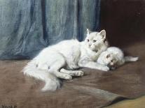 White Persian Cat with Two Kittens-Arthur Heyer-Giclee Print