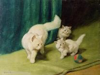 White Persian Cat with Two Kittens-Arthur Heyer-Giclee Print