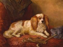 Man's Best Friend-Arthur James Stark-Stretched Canvas