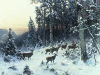 Deer in Winter Wooded Landscape-Arthur Julius Thiele-Framed Stretched Canvas