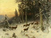 Deer in Winter Wooded Landscape-Arthur Julius Thiele-Framed Stretched Canvas