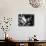 Arthur Miller, Marilyn Monroe-null-Photographic Print displayed on a wall