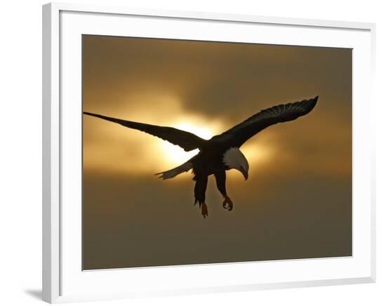 Framed Photographic Print, , large